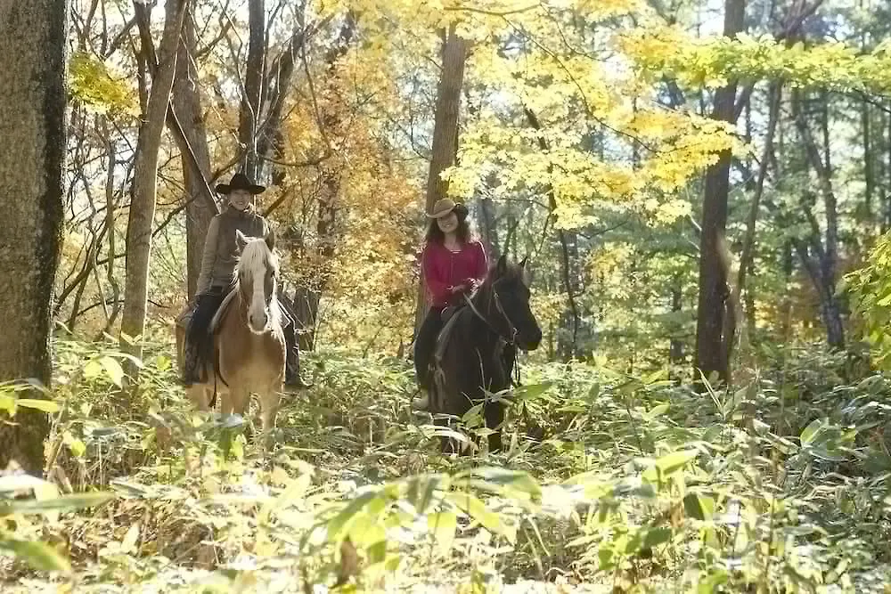 ホテル　鹿の湯 札幌市 4*,